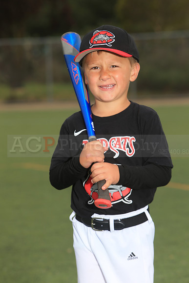 TBMudcats00080