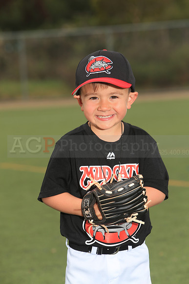 TBMudcats00001