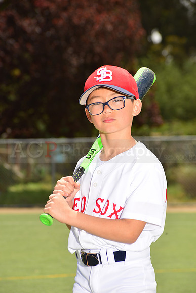 PWRedSox00011