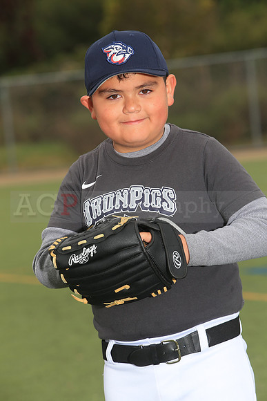 TBIronPigs00058