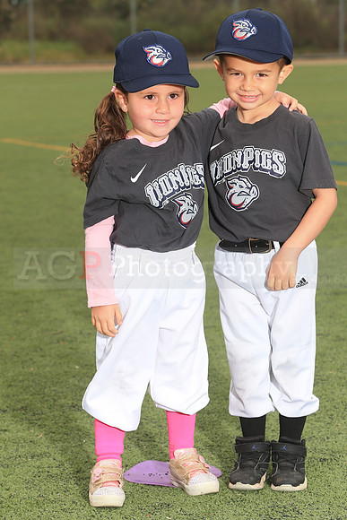 TBIronPigs00042