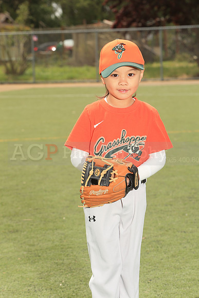 TBGrasshoppers00035