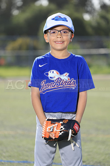 SB_TB_IronBirds009