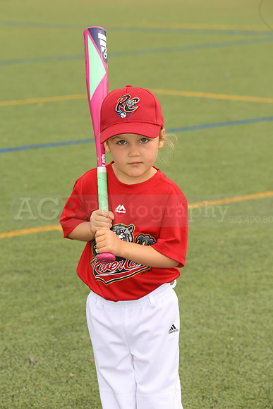 SB_TB_Ironpigs00069