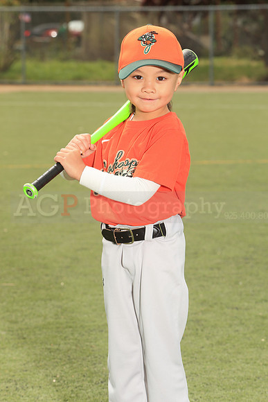 TBGrasshoppers00033