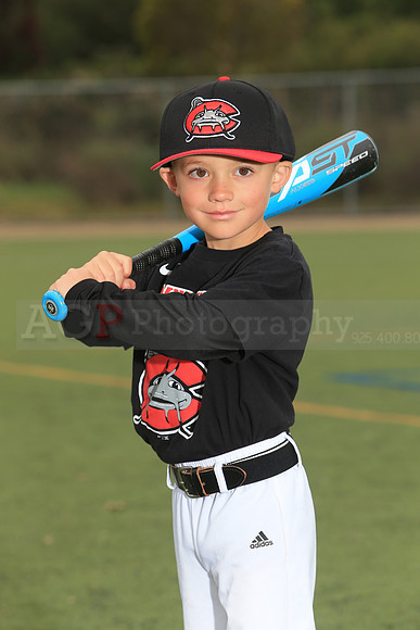 TBMudcats00010