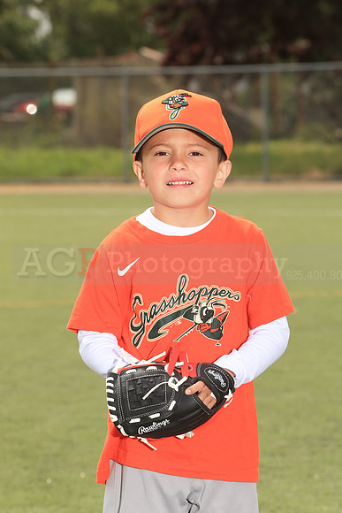 TBGrasshoppers00046