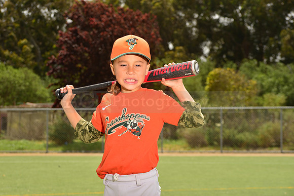 TBGrasshoppers00072