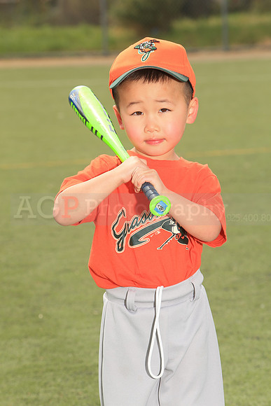 TBGrasshoppers00016