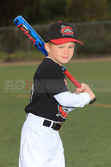 TBMudcats00020