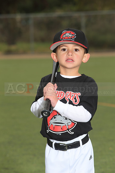 TBMudcats00028