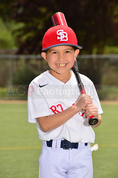 PWRedSox00053