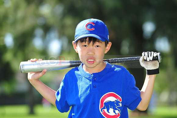 AA_Cubs042