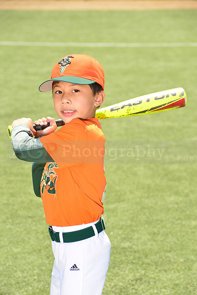 SB_TB_Grasshoppers00021