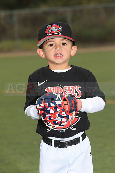 TBMudcats00024