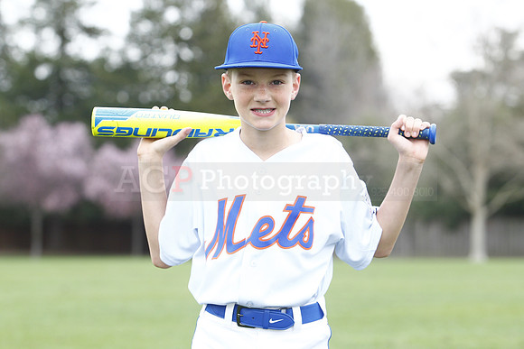 aMMets060