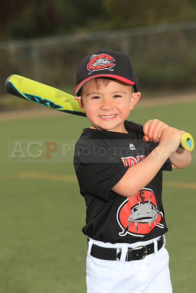 TBMudcats00004
