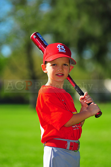 TBall_Cardinals040