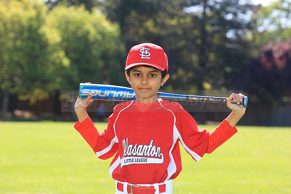 PLL_AAA_Cardinals00044