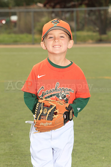 TBGrasshoppers00026
