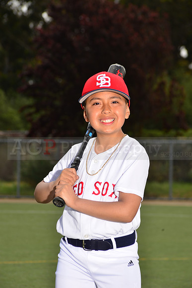 PWRedSox00015