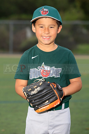 TBTinCaps00021