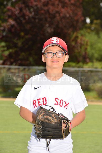 PWRedSox00010