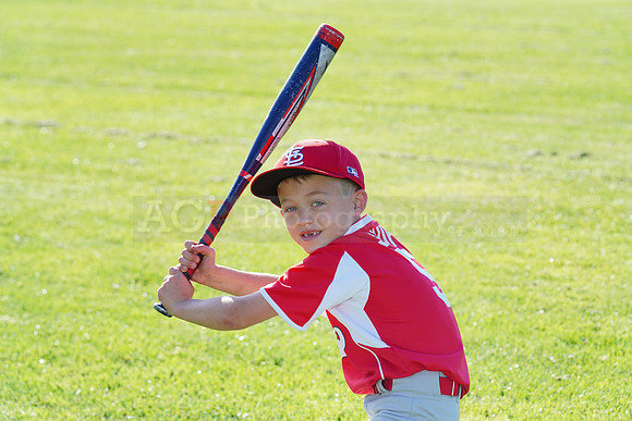 PLL_A_Cardinals00004