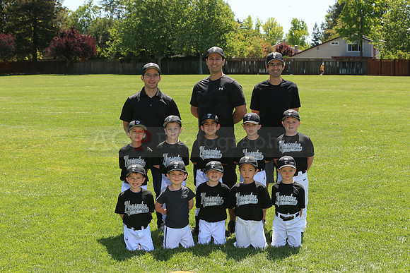 PLL_FM_Lugnuts00101
