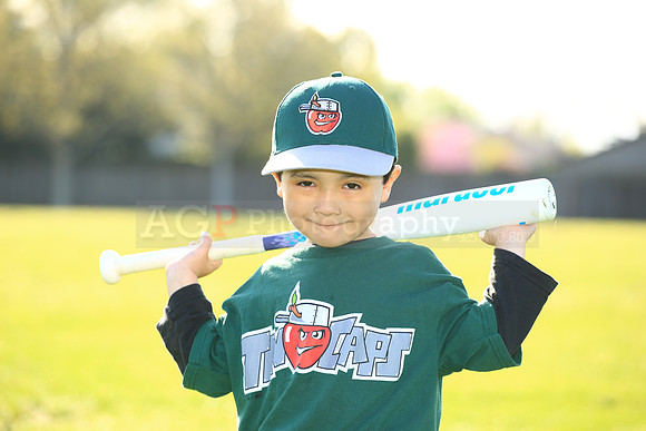 TBTinCaps056