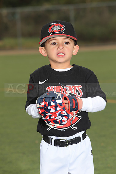 TBMudcats00025
