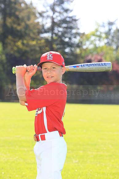PLL_AAA_Cardinals00049