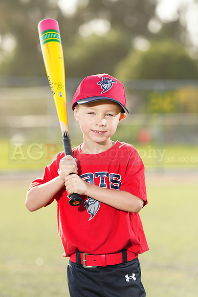 SB_TB_Bats028