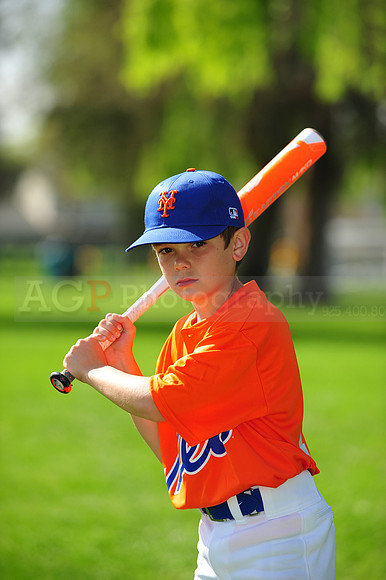 AA METS004