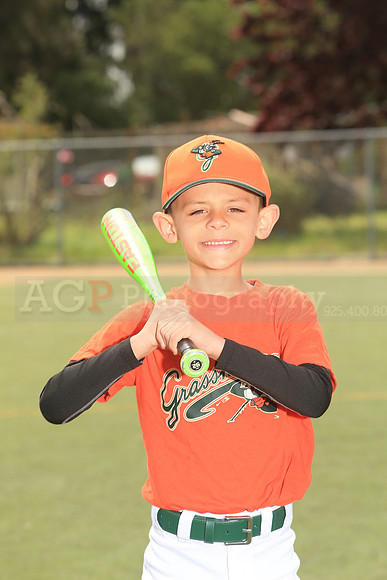 TBGrasshoppers00004