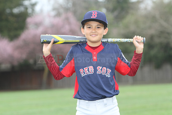 AAARedsox048