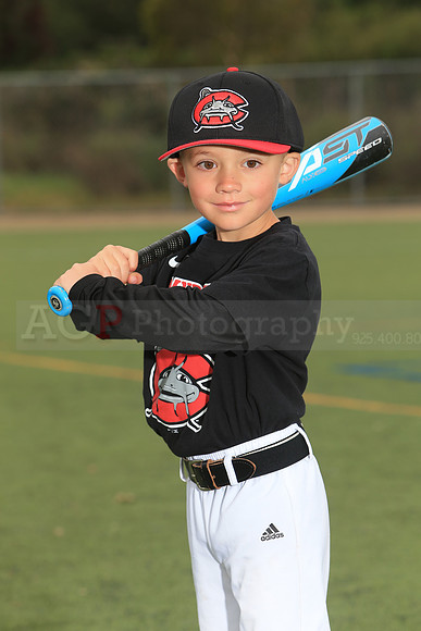 TBMudcats00008