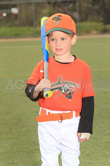TBGrasshoppers00054