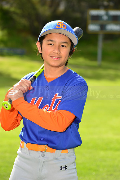 BrMets00009