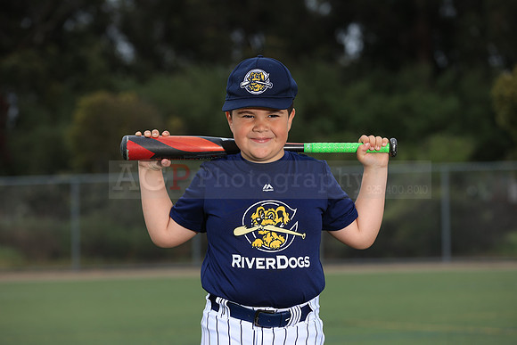 TBRiverdogs00081