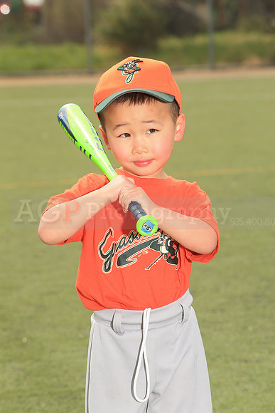 TBGrasshoppers00014
