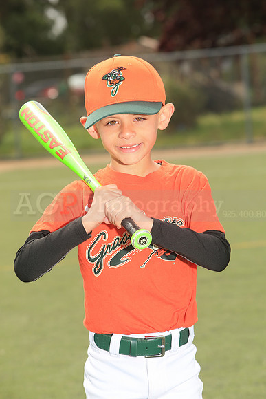 TBGrasshoppers00006
