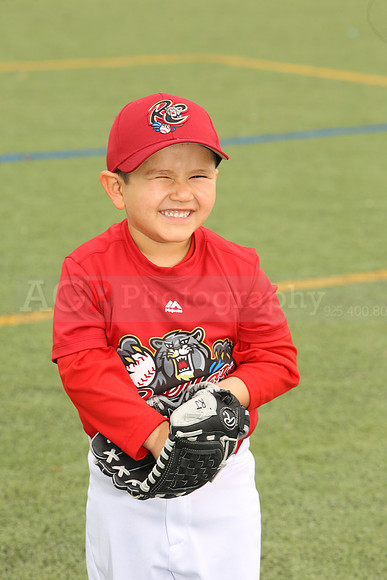 SB_TB_Ironpigs00025