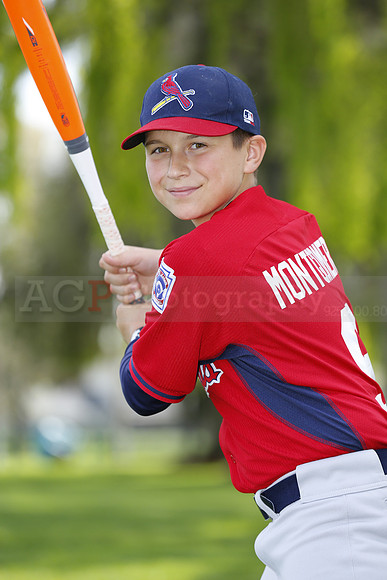 MCardinals051