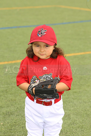 SB_TB_Ironpigs00039