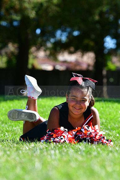 Cheer088