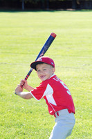 PLL_A_Cardinals00009