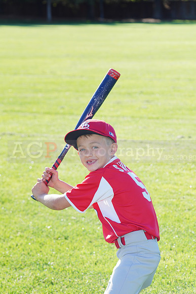 PLL_A_Cardinals00009