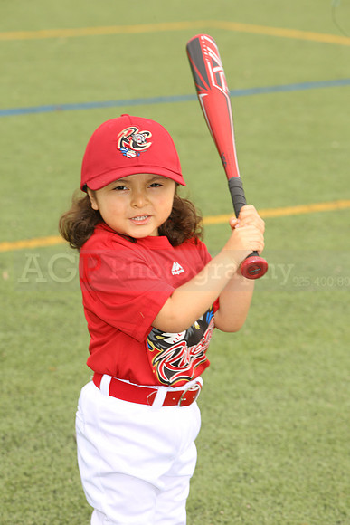 SB_TB_Ironpigs00041