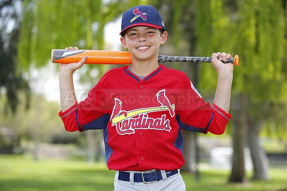MCardinals048